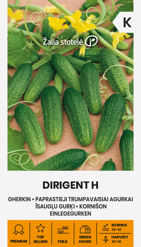 Kurgiseemned Dirigent H lühikese kurgi seemnepakend