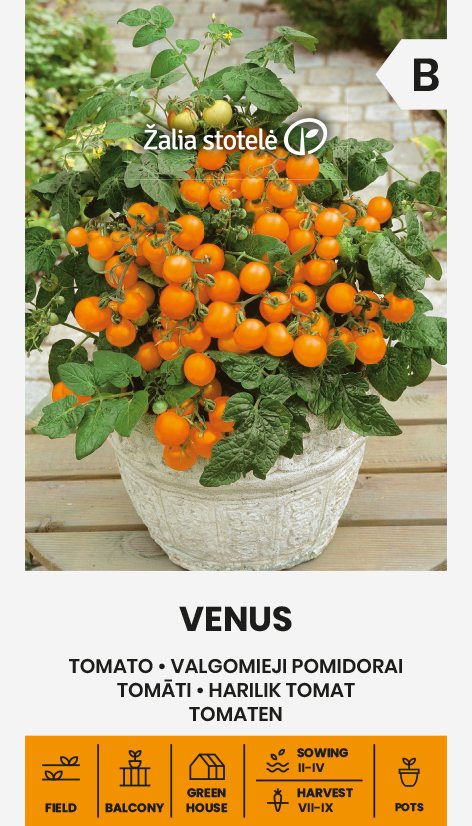 Kirsstomati seemnepakend Venus
