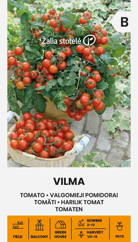Kirsstomati seemnepakend Vilma