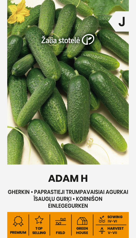 Kurgiseemned Adam H lühikese kurgi seemnepakend