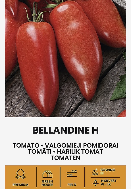 Tomatiseemned Bellandine H seemnepakend