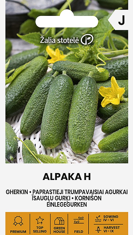 Kurgiseemned Alpaka H- lühikese kurgi seemnepakend
