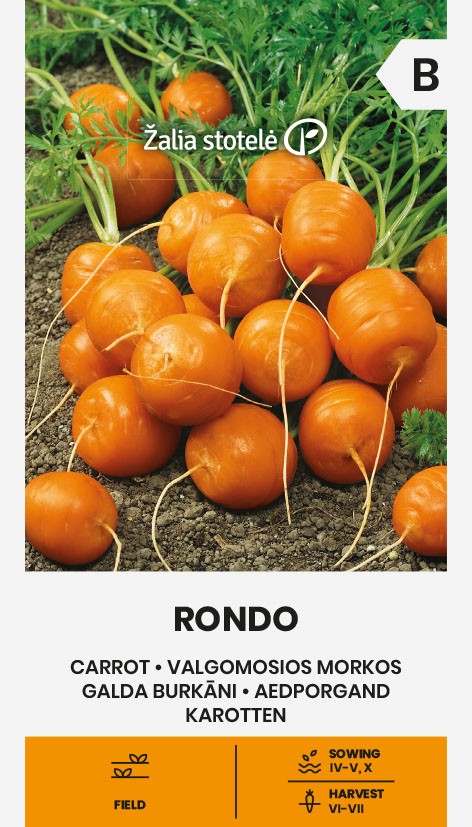 Porgand Rondo seemnepakend – eriti varajane ümar porgand