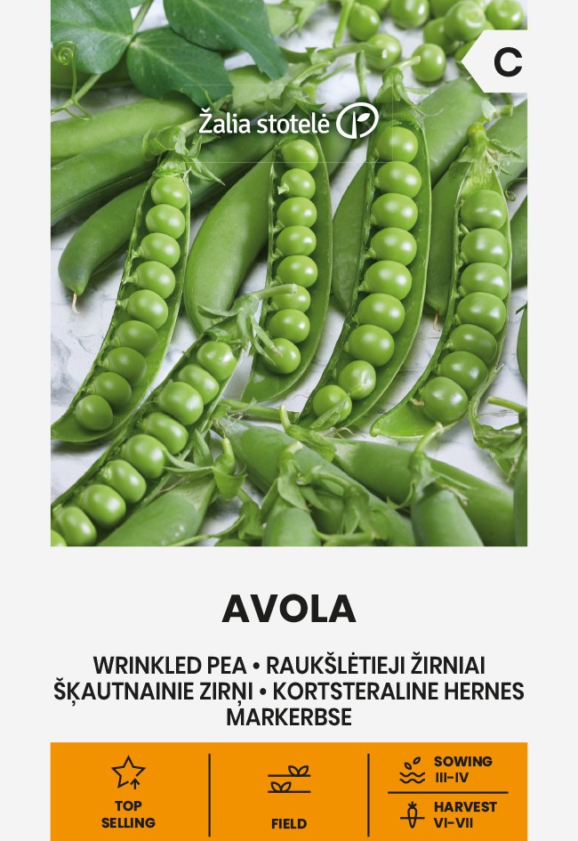 hernes avola