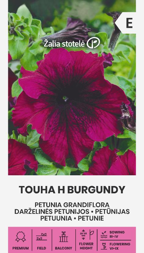 Suureõieline petuunia ‘Touha H Burgundy’