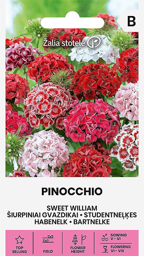 Habenelk Pinocchio seemnepakend