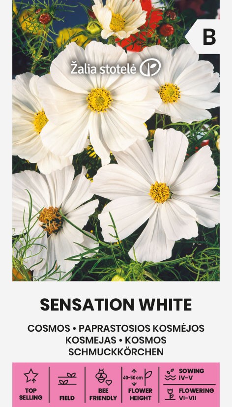Kosmos Sensatsion White seemnepakend