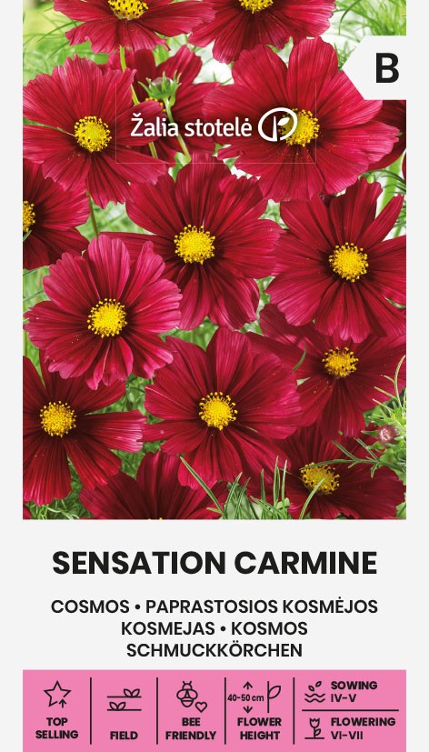 Kosmos Sensation Carmine seemnepakend