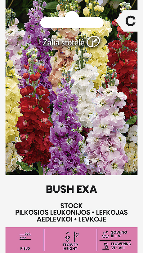 aedlevkoi bush exa seemnepakend