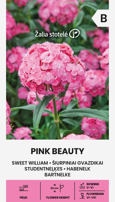habenelk pink beauty seemnepakend