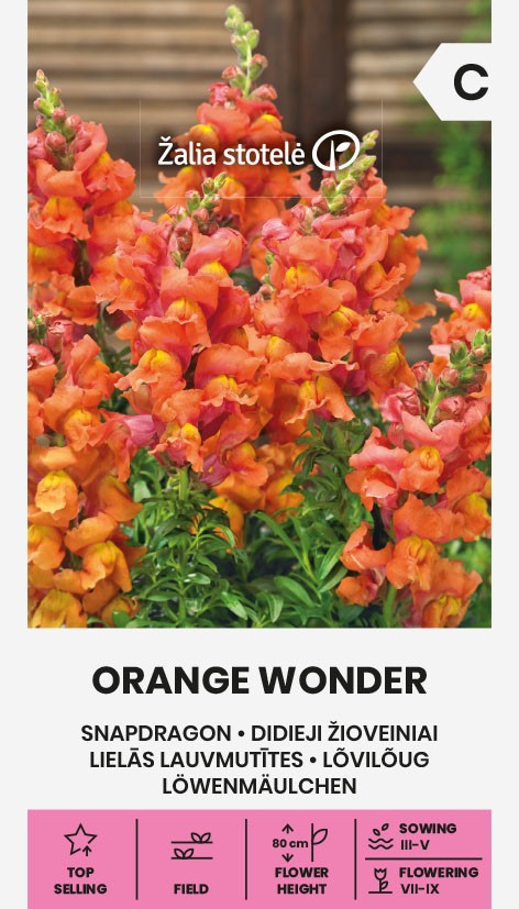 Lõvilõug ‘Orange Wonder’ seemnepakend