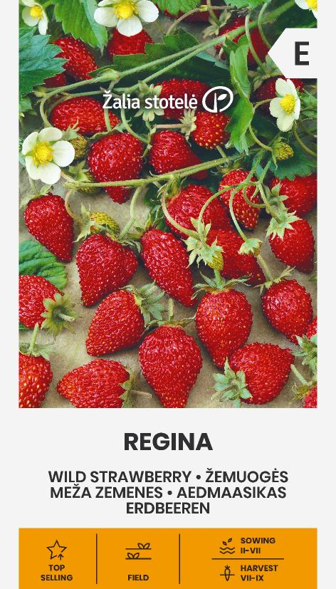 kuumaasikas regina seemnepakend