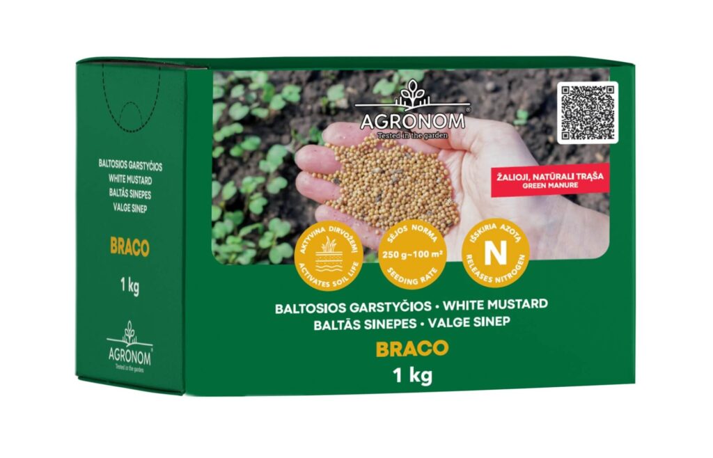Valge sinep BRACO 1 kg on kiirekasvuline vahekultuur ja haljasväetis. Sobib põllule ja aeda mulla katmiseks ning rohelise massi kasvatamiseks.