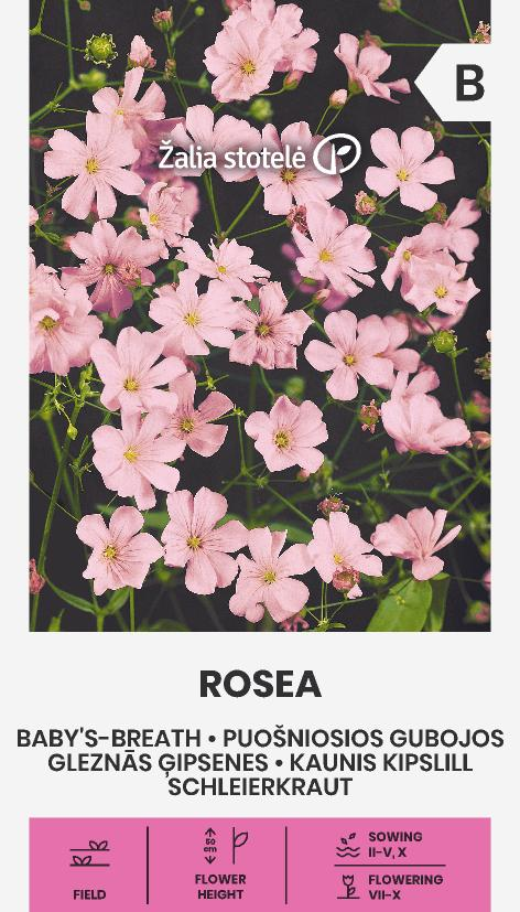 Kipslill Rosea seemnepakend