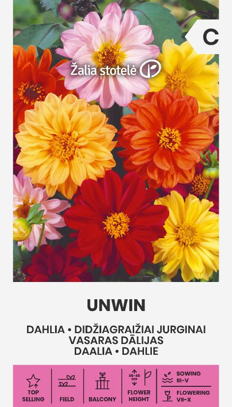 Daalia Unwin seemnepakend