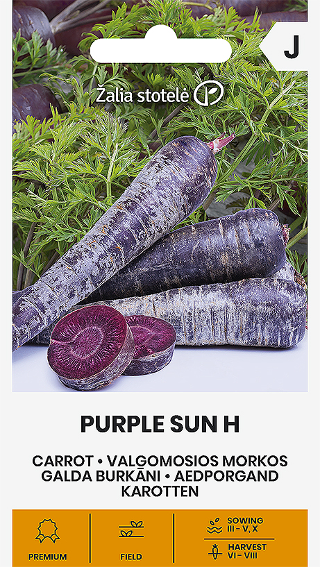 Lillajuurse porgandi Purple Sun H seemnepakend