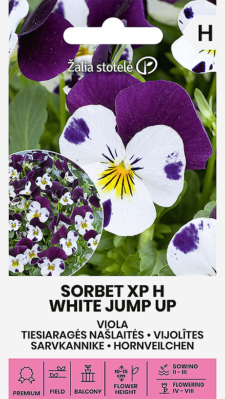 Sarvkannike Sorbet XP H White Jump Up seemnepakend