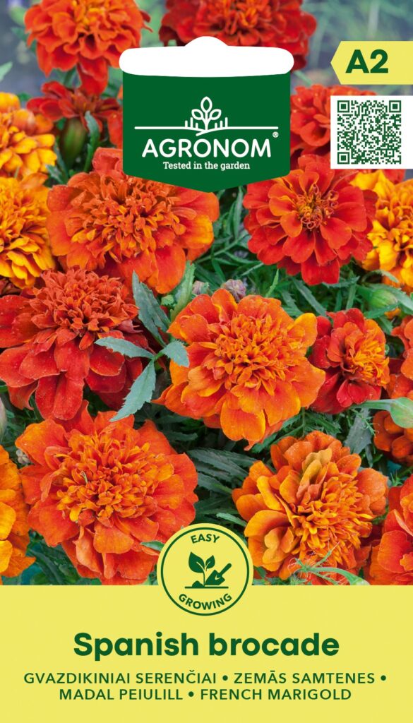 peiulill (tagetes) spanish brocade