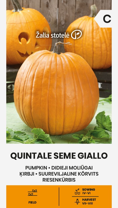 suureviljalise kõrvitsa seemnepakend quintale seme giallo