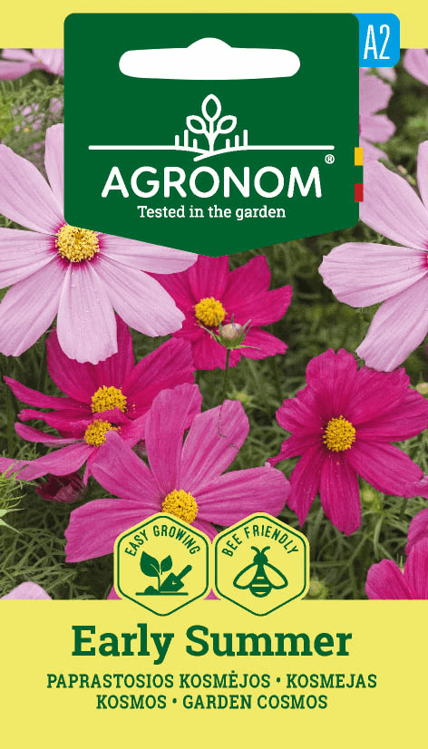 Harilik kosmos ‘Early Summer’ – Cosmos bipinnatus