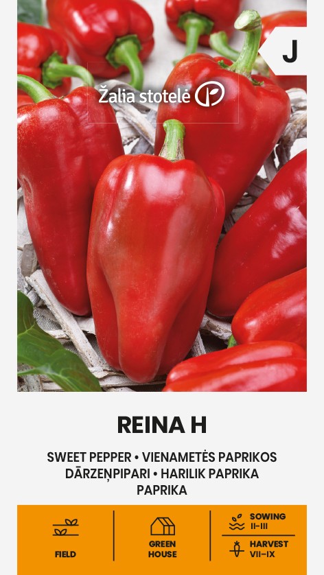 Paprika Reina H seemnepakend