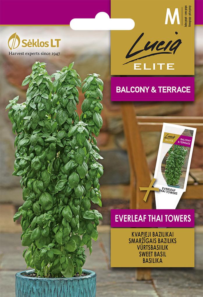 vürtsbasiiliku seemnepakend everleaf thai towers