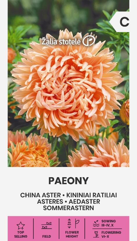 aedaster paeony seemnepakend