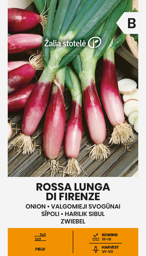 Sibul Rossa lunga di Firenze seemnepakend