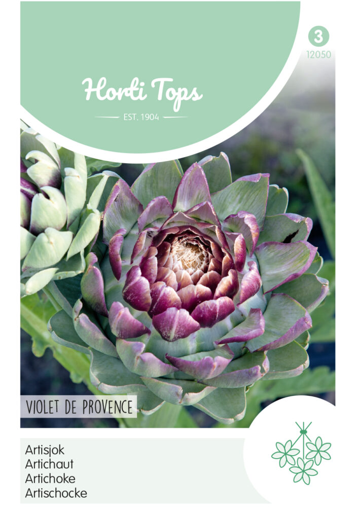 Artišokk Violet de Provence seemnepakend